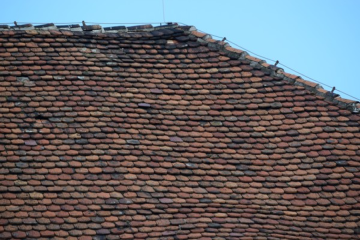 renovierungsbedürftiges Dach